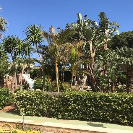 Le Palme Tropicali Apartment San Vito Lo Capo Exterior photo